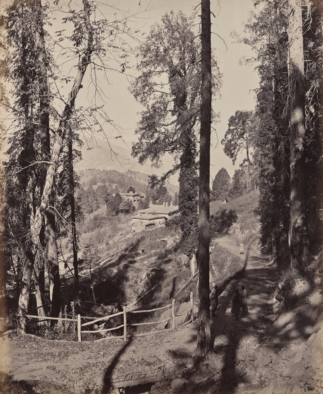Murree. Een bergstation in de Himalaya, uitzicht door het bos door Samuel Bourne