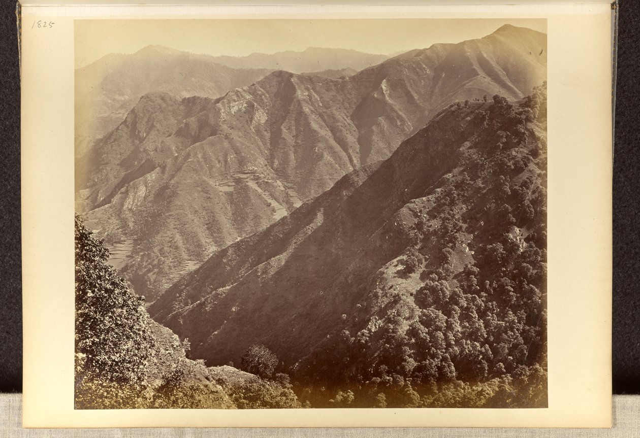 Simla; "Khuds" ten noorden van Jakko, gezien vanaf Elysium Hill door Samuel Bourne