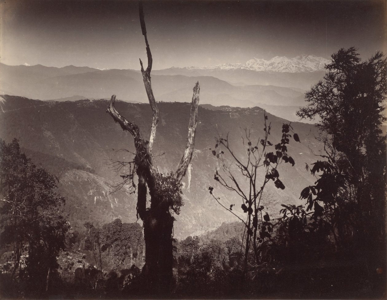 Uitzicht vanuit Senchal door Samuel Bourne