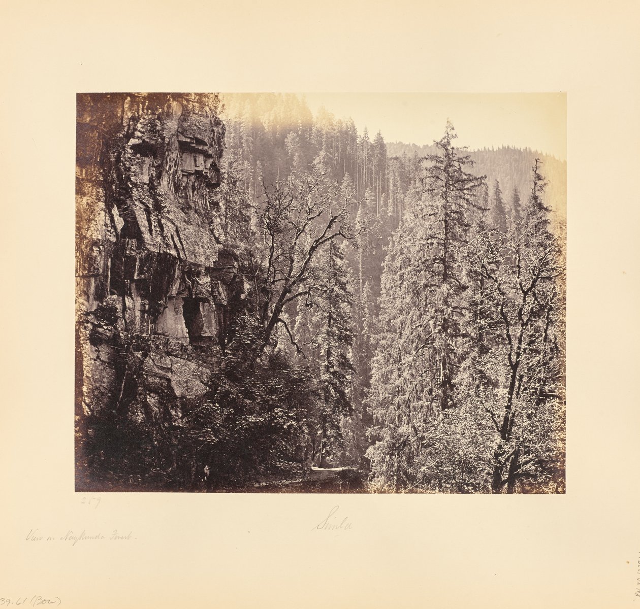 Gezicht in het Narkunda-woud door Samuel Bourne