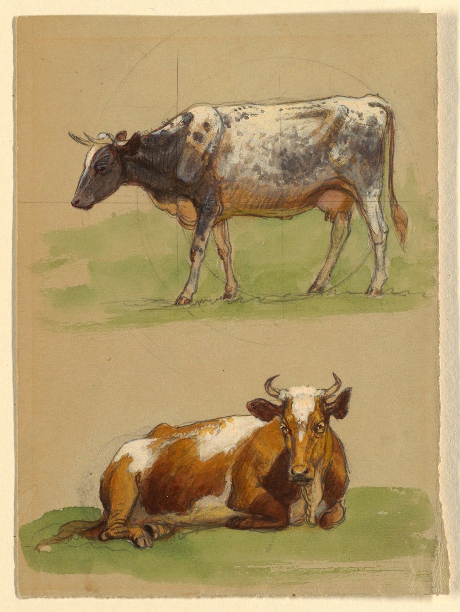 Tekening, Vee, een koe loopt en een koe hurkt, 1875-80 door Samuel Colman