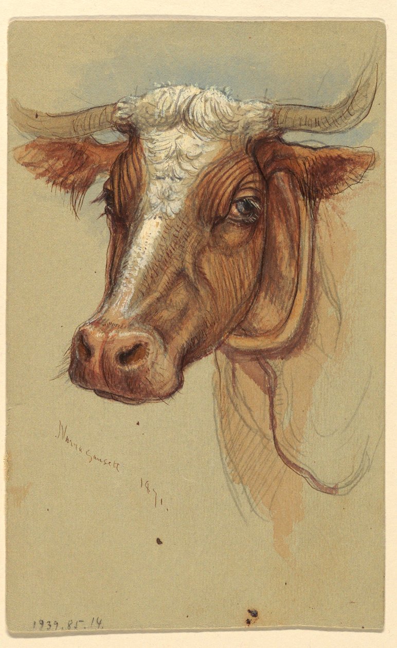 Tekening, Schetsen van Narragansett, Rhode Island, 1871 door Samuel Colman