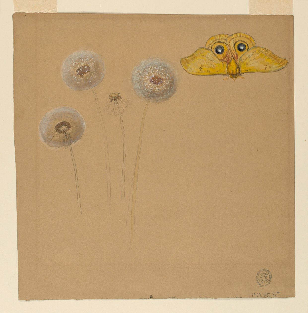 Tekening, Studie van witte margriet, kamillestengel met twee bloemblaadjes en een kamilleblaadje, 1875-90 door Samuel Colman