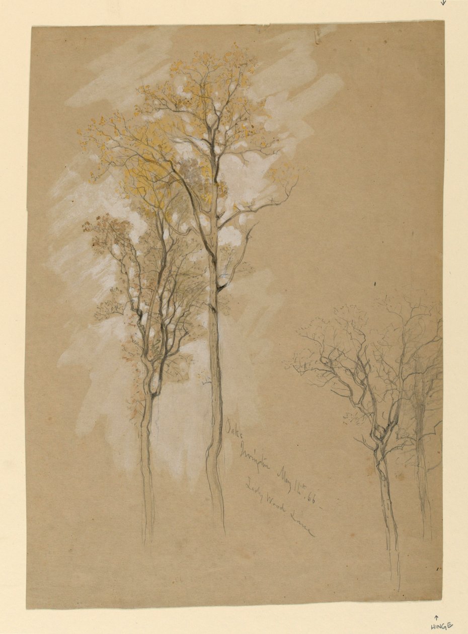 Eiken, Lady Wood Lane, Irvington door Samuel Colman
