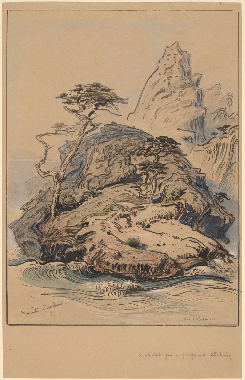 Point Lobos, Californië door Samuel Colman