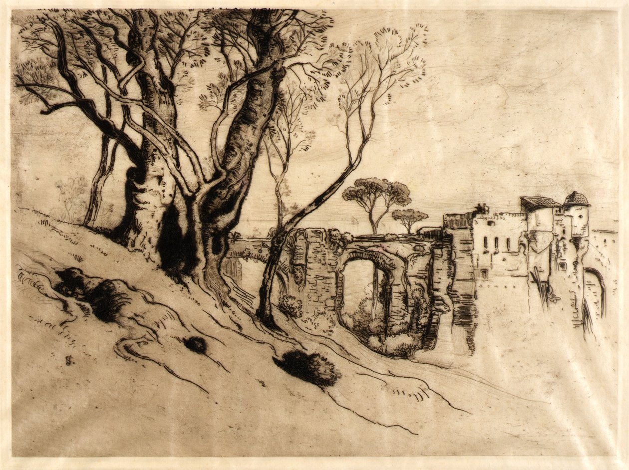 De olijfbomen van de Rivièra (uit de portfolio, Twenty Original door Samuel Colman