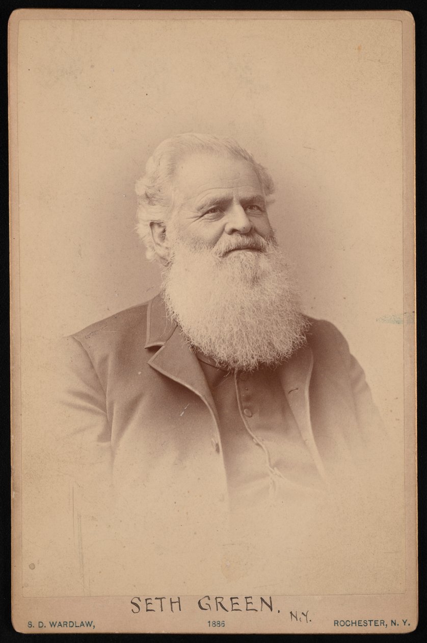 Portret van Seth Green 1817-1888, 1886 door Samuel D Wardlaw