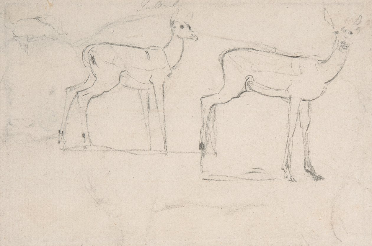 Studie voor twee staande Pallah-herten door Samuel Daniell