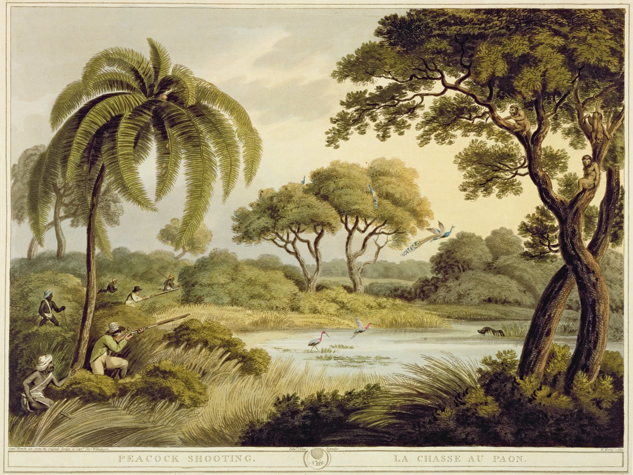 Pauwenschieten, uit Oriëntaalse Veldsporten, uitgegeven door Edward Orme, 1807 door Samuel Howett