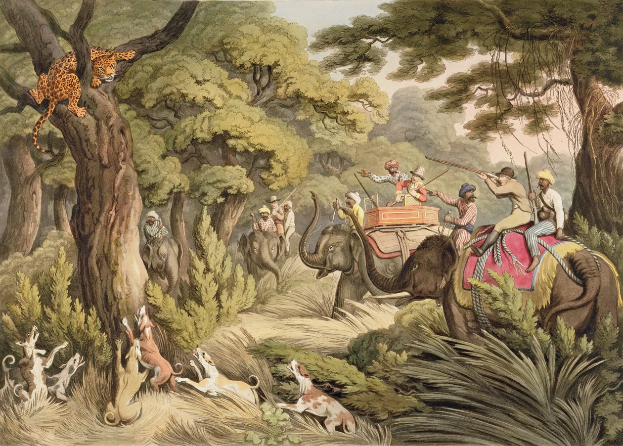 Een Luipaard Schieten, uit Oriental Field Sports, uitgegeven door Edward Orme, 1807 door Samuel Howett