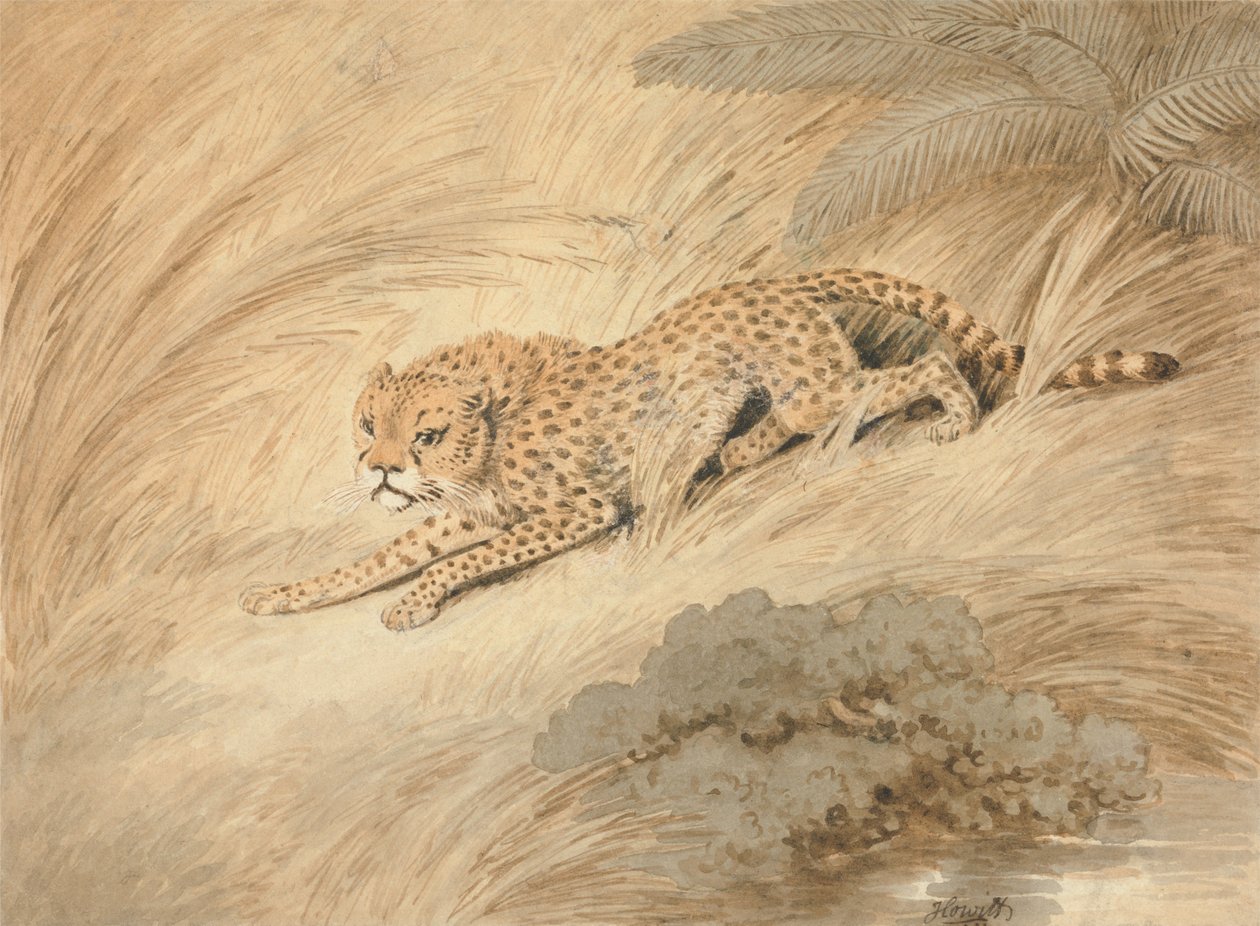 Een gehurkte cheeta bij een poel door Samuel Howitt