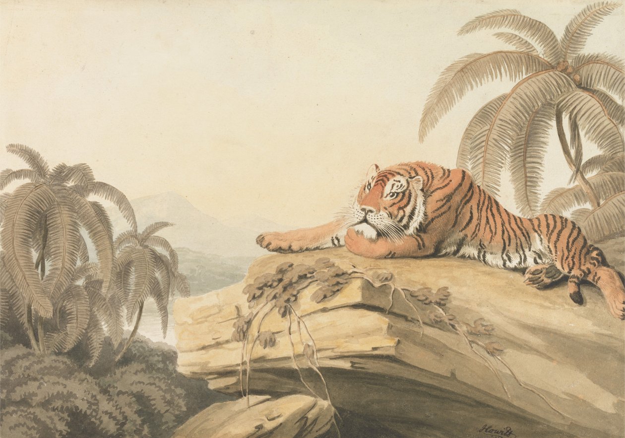 Een rustende tijger: het frontispice voor "Oriental Field Sports" door Samuel Howitt