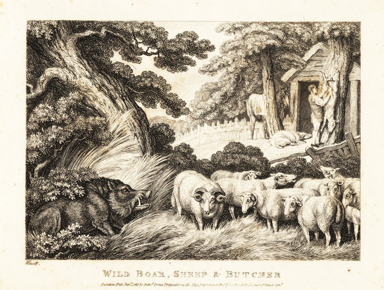Een kudde schapen wacht op slachting door een slager. 1811 (ets) door Samuel Howitt