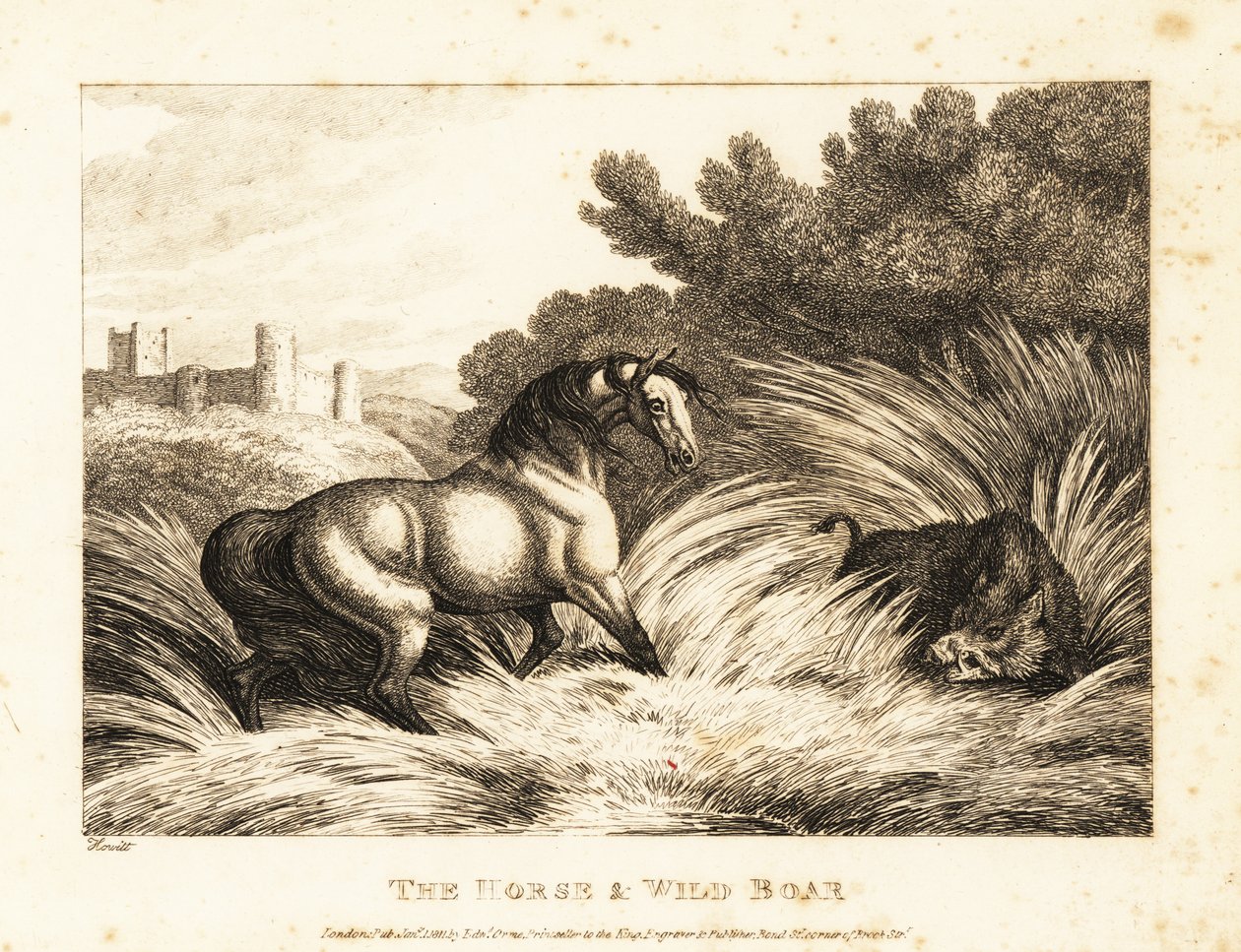 Een paard en een wild zwijn tegenover elkaar in een weiland. 1811 (ets) door Samuel Howitt