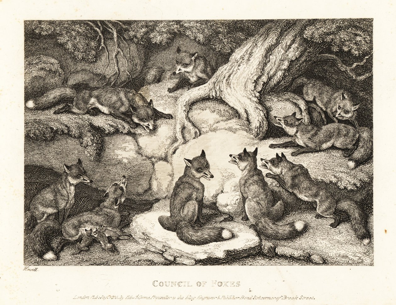 Een groep vossen ontmoet elkaar in een bos. 1811 (ets) door Samuel Howitt
