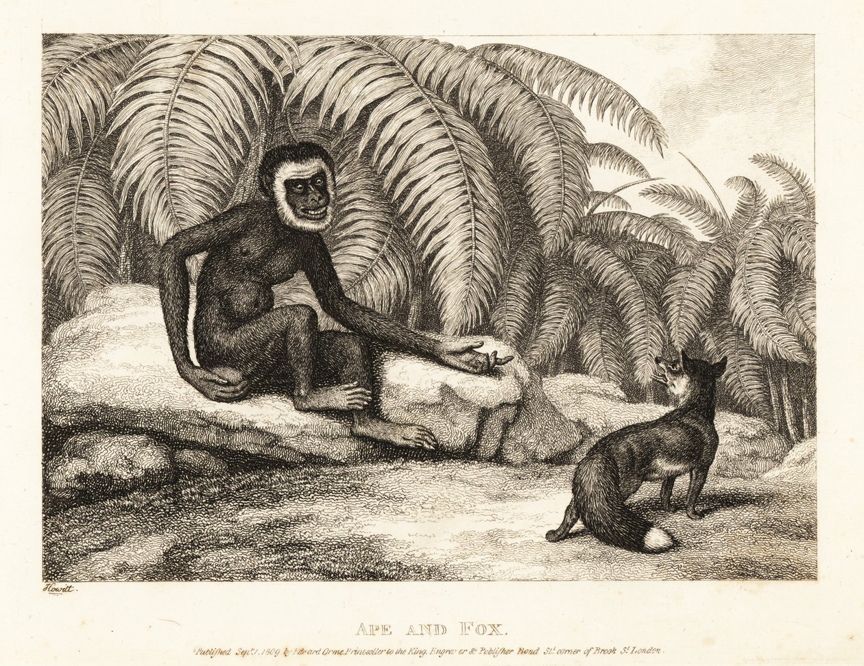 Een staartloze aap vraagt een vos om een deel van zijn staart. Aap en vos. 1811 (ets) door Samuel Howitt