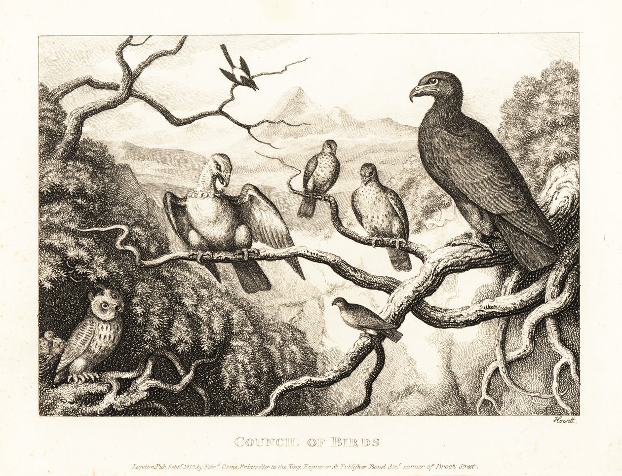 Een adelaar voorzit een hof van vogels in een boom. 1811 (ets) door Samuel Howitt