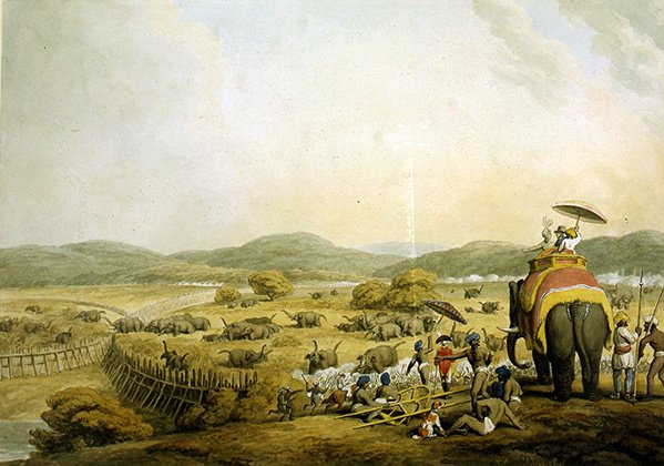 Olifanten naar een Keddah drijven (aquarel op papier) door Samuel Howitt