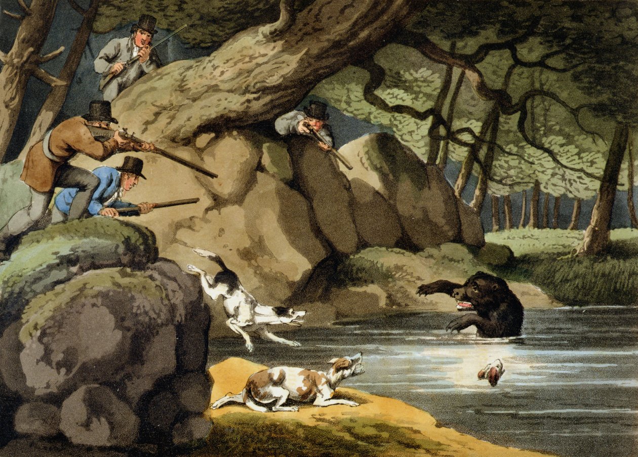Noord-Amerikaanse berenjacht, gegraveerd door Matthew Dubourg, uitgegeven door Edward Orme, 1813 door Samuel Howitt