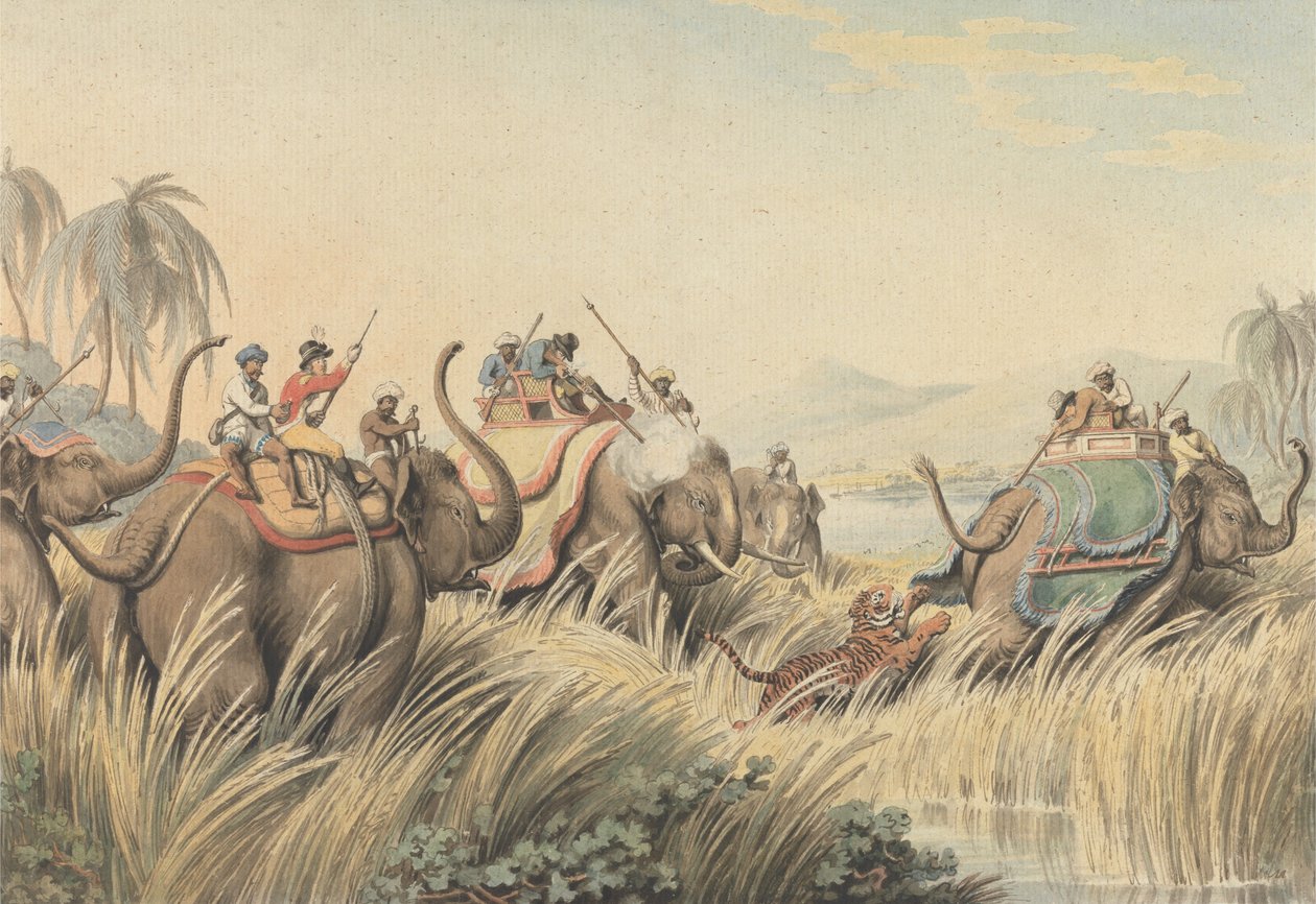 De in het nauw gedreven tijger: een illustratie voor "Oriental Field Sports" van kapitein Thomas Williamson door Samuel Howitt