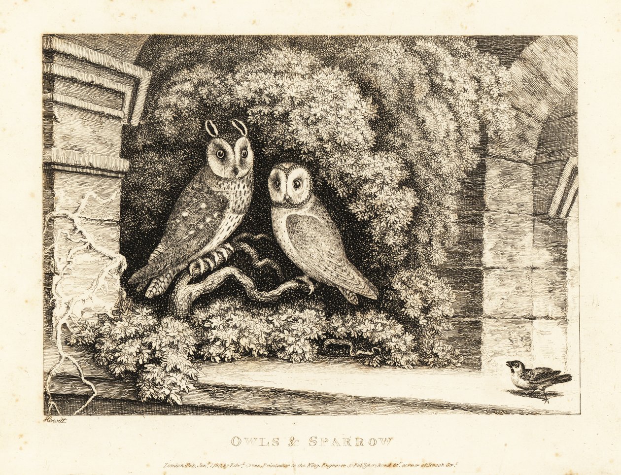 Twee uilen en een mus. 1811 (ets) door Samuel Howitt