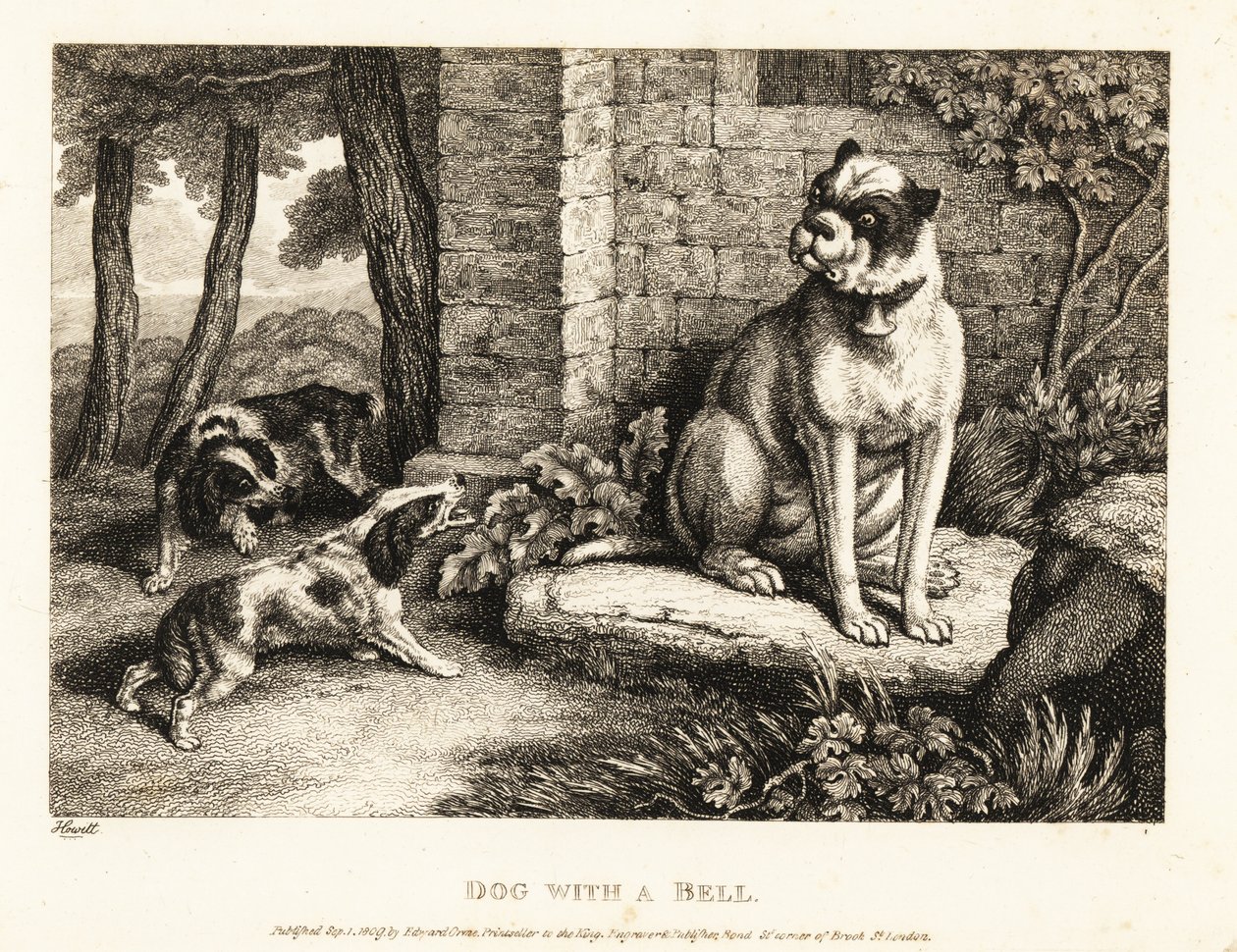 Twee spaniëls blaffen naar een bulldog met een bel om zijn hals. 1811 (ets) door Samuel Howitt