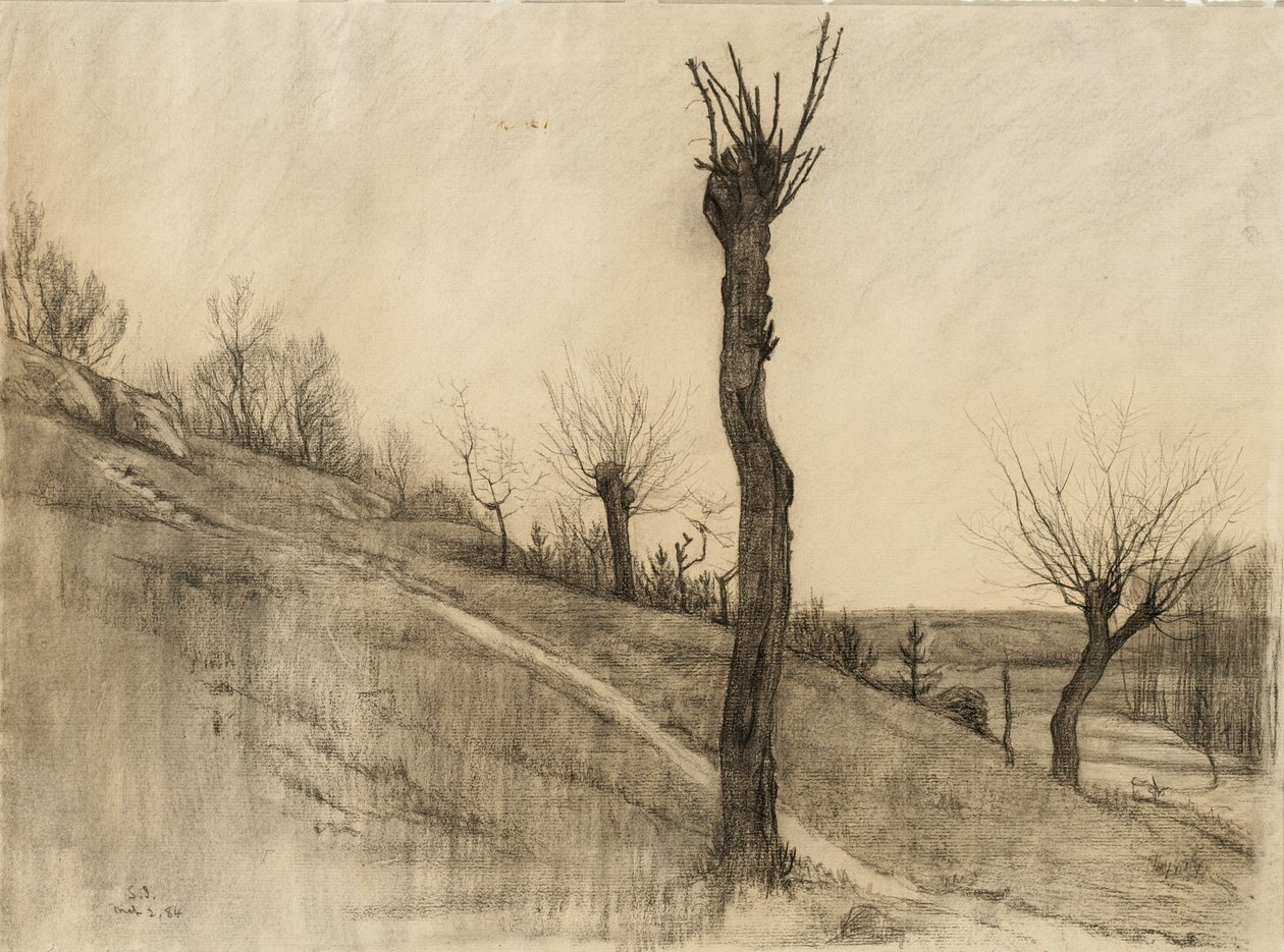 Laat winterlandschap, 1884 door Samuel Isham