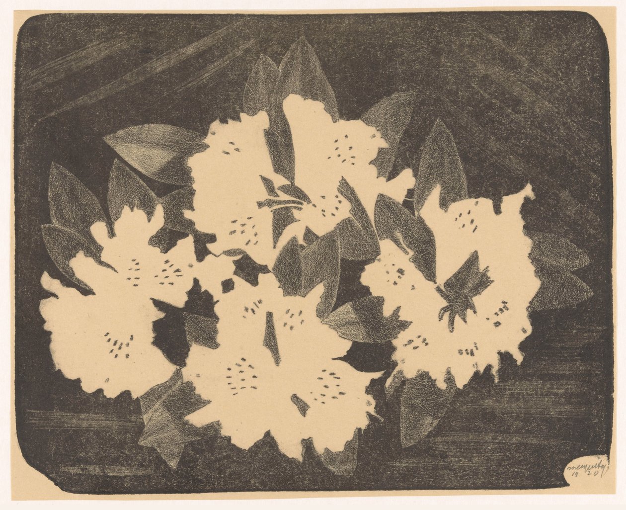 Rhododendron door Samuel Jessurun de Mesquita (signed by artist)