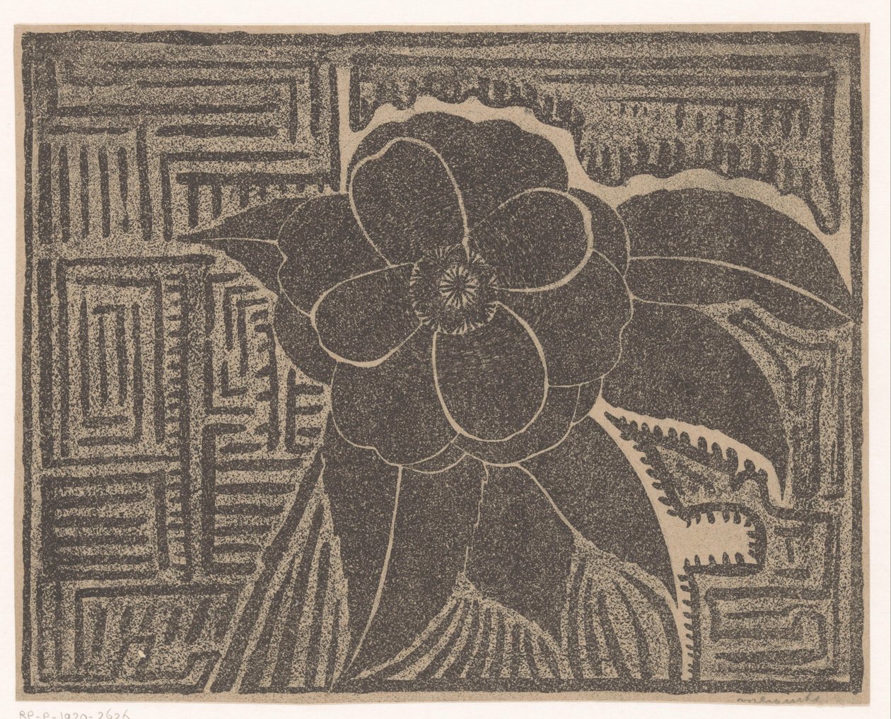 Camelia door Samuel Jessurun de Mesquita