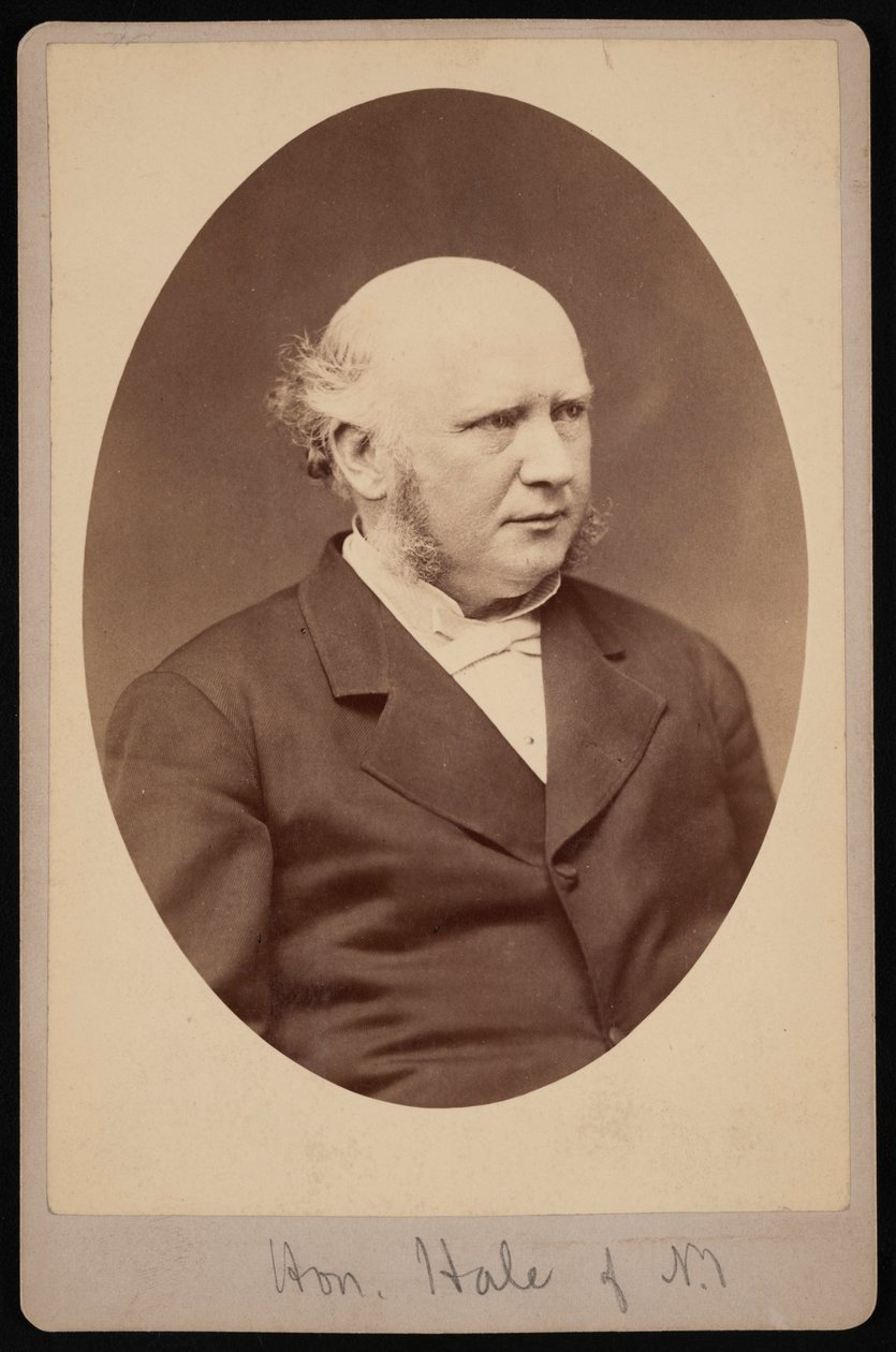 Portret van Robert Safford Hale 1822-1881, voor 1881 door Samuel Montague Fassett