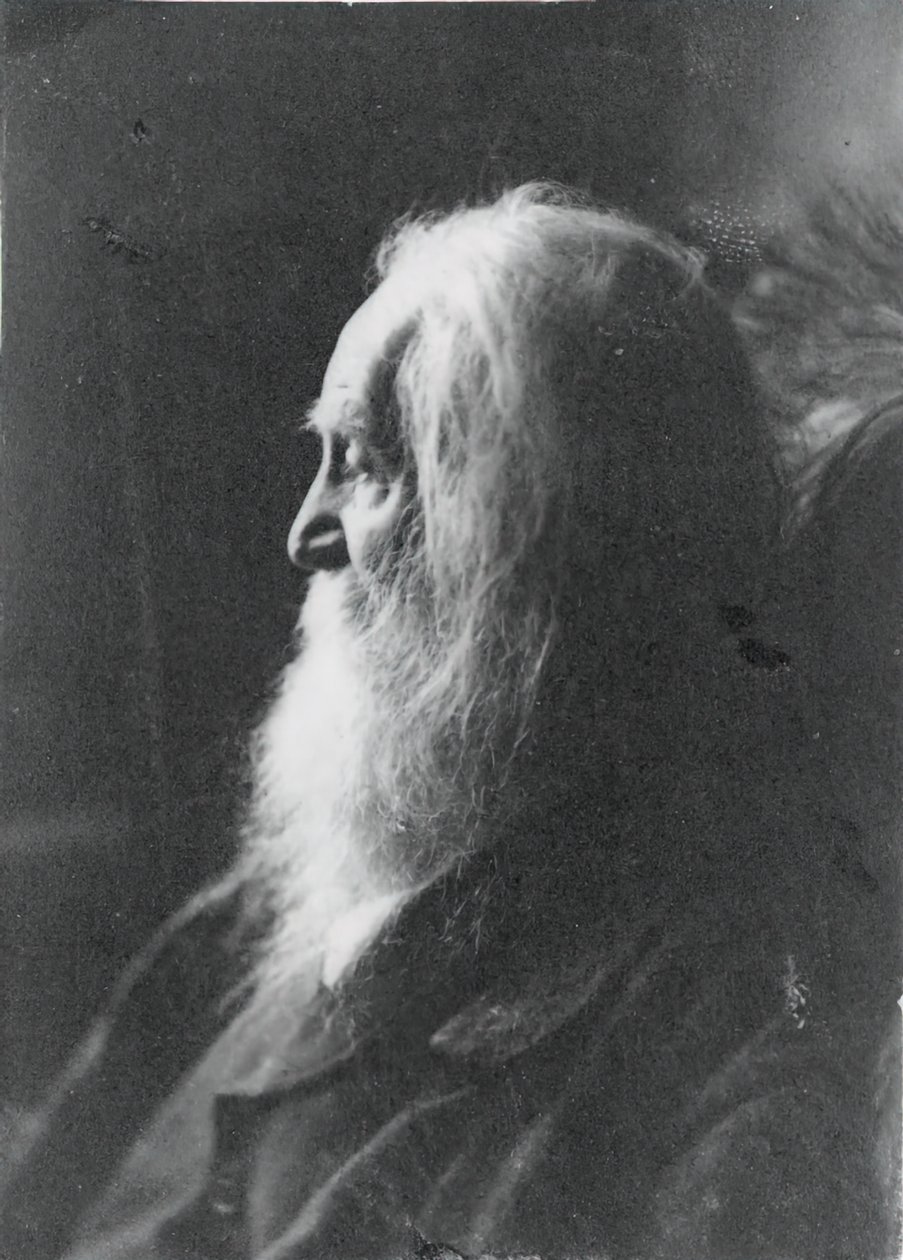 Walt Whitman in Camden, N.J., ca. 1891 door Samuel Murray