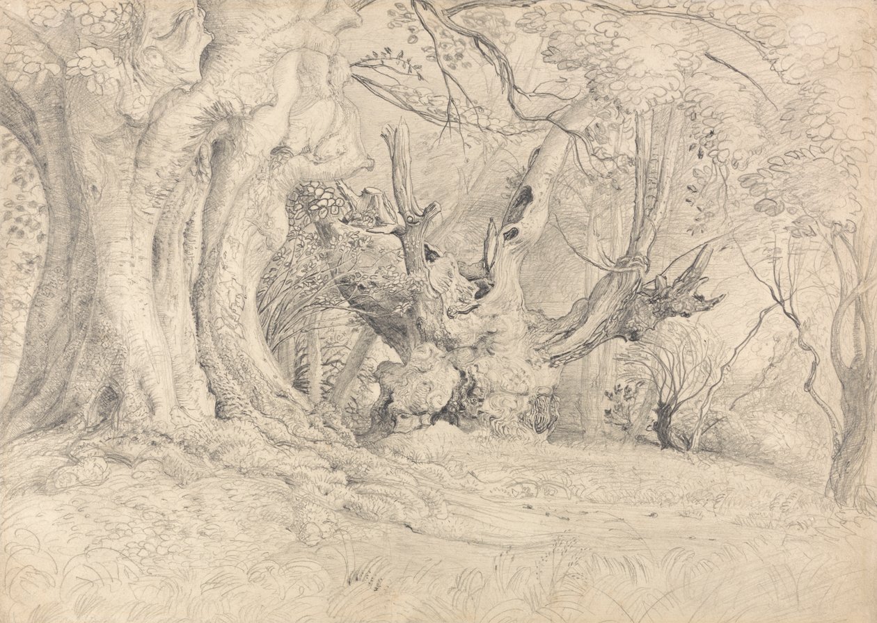 Oude Bomen, Lullingstone Park door Samuel Palmer