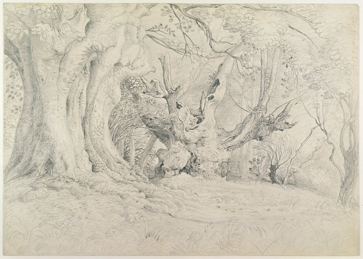 Oude bomen, Lullingstone Park, 1828 door Samuel Palmer