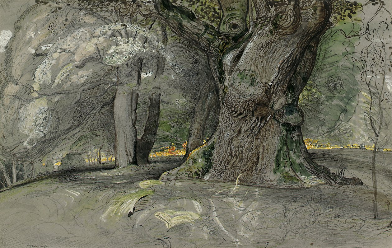 Eik en beuk, Lullingstone Park door Samuel Palmer
