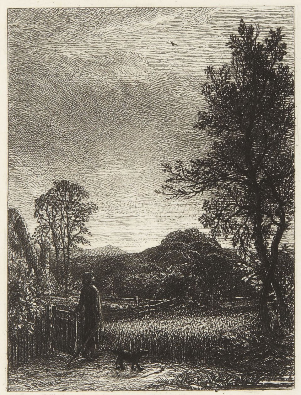 De veldleeuwerik door Samuel Palmer