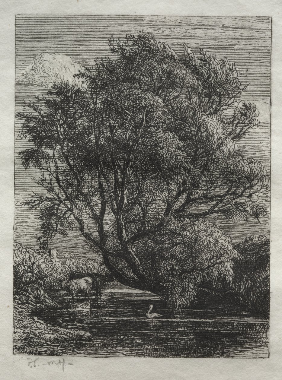 De wilg door Samuel Palmer