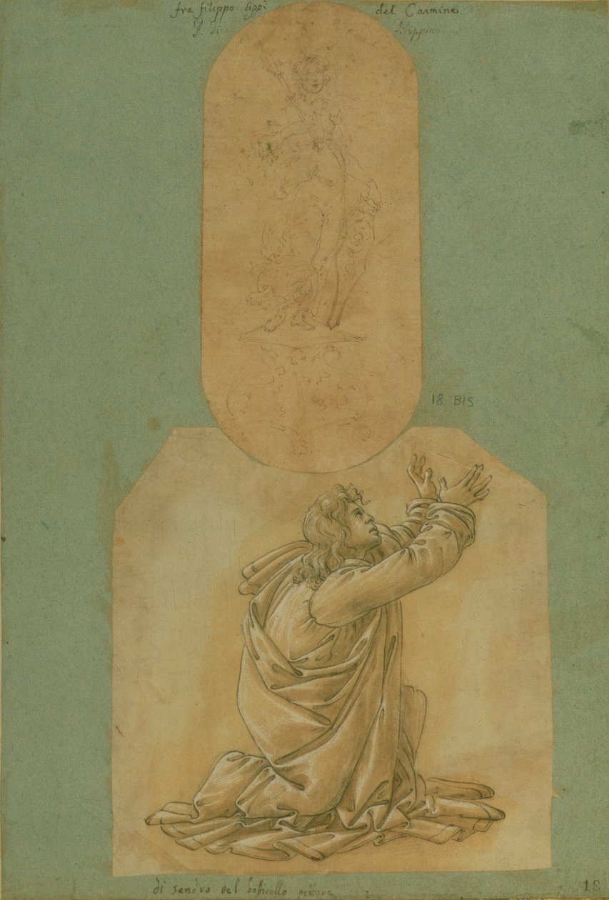 Studie van St. Thomas door Sandro Botticelli