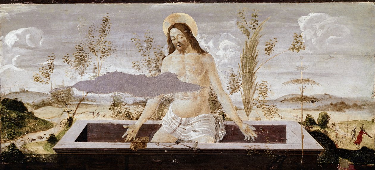 Pieta (detail) door Sandro Botticelli