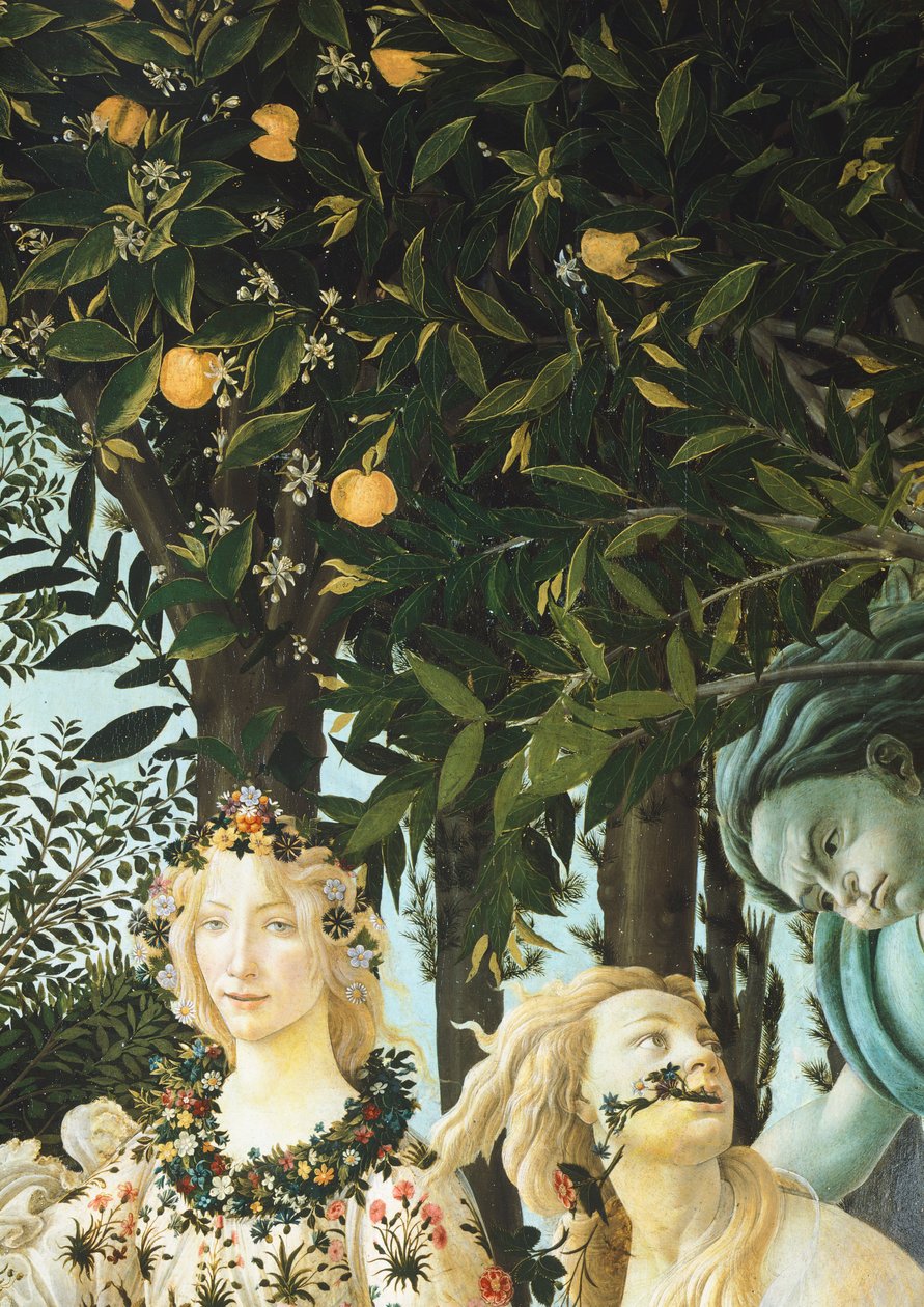 Primavera Botticelli Flora The Plant Species In Sandro Botticelli's