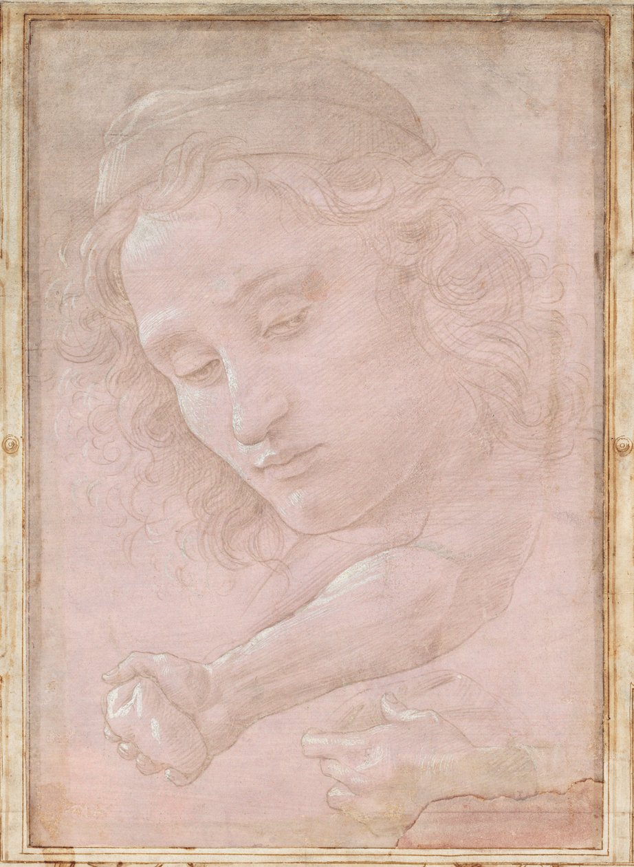 Hoofd van een Jongeling met een Pet; een Rechter Onderarm met de Hand die een Steen Vasthoudt; en een Linkerhand die een Draperie Vasthoudt door Sandro Botticelli