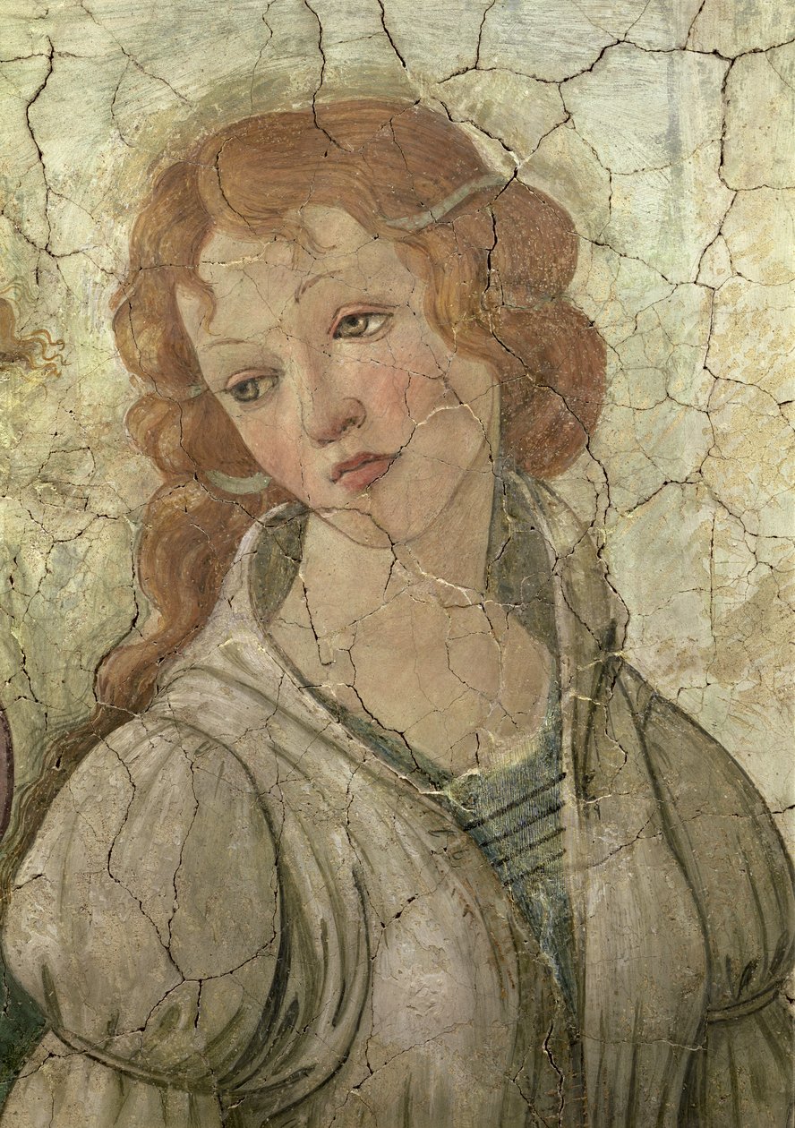 Venus en de Drie Gratiën die Geschenken Aanbieden aan een Jong Meisje (detail) door Sandro Botticelli
