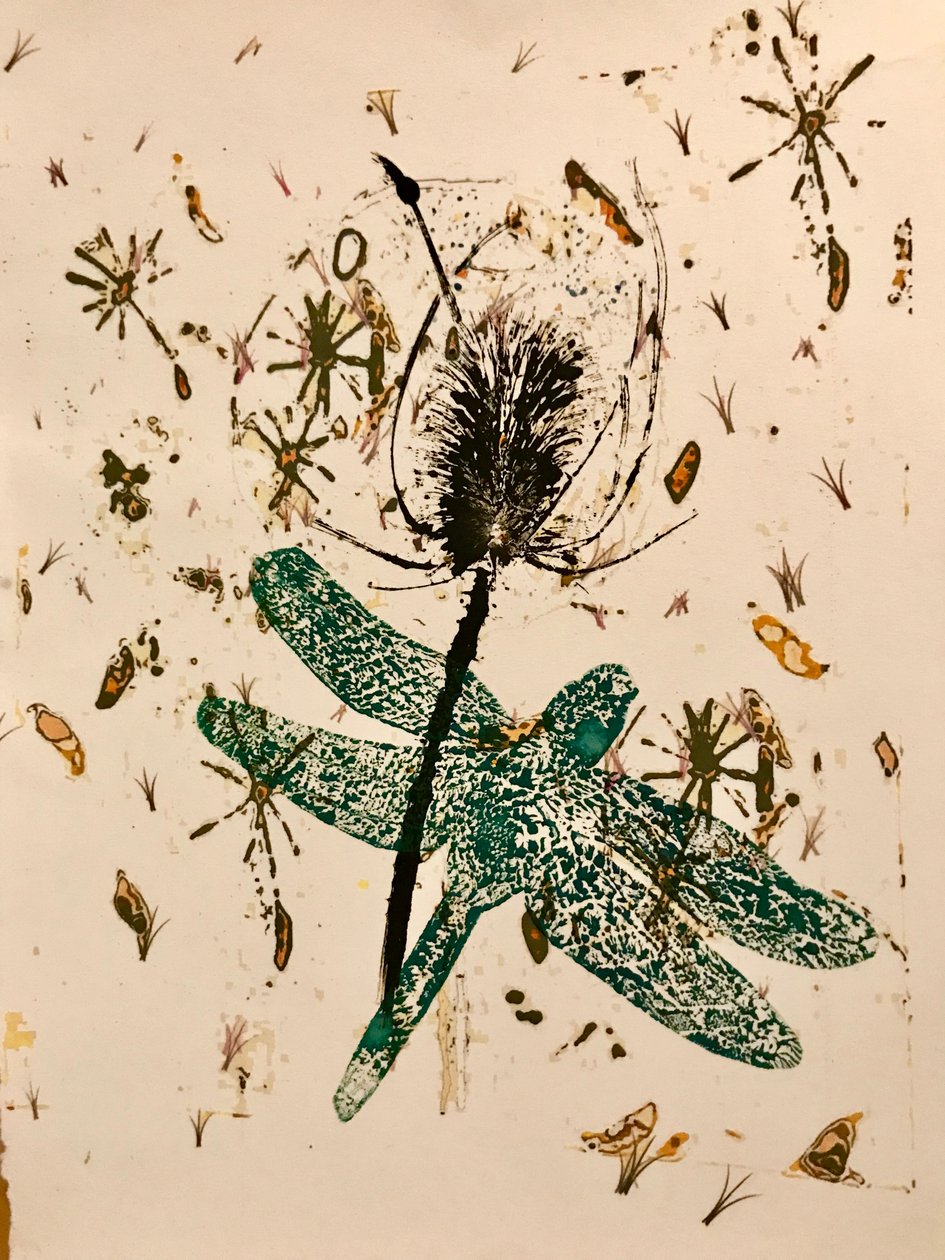 Kaardebol door Sarah Thompson-Engels