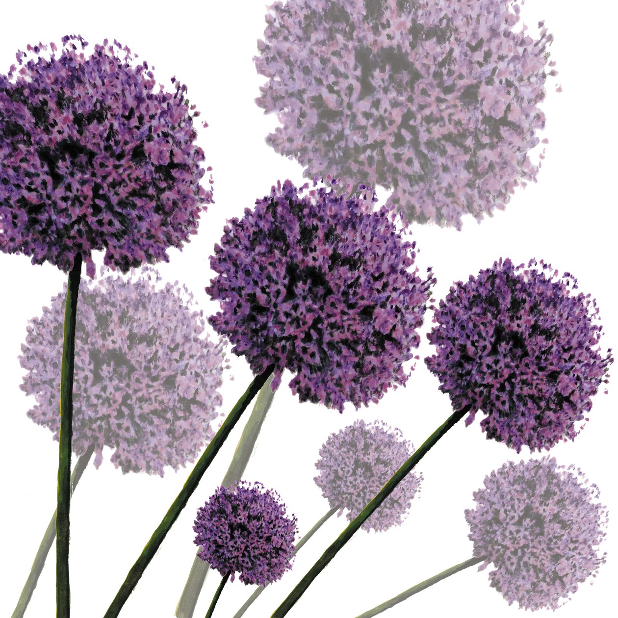 Allium Fernandez, 2004 door Sarah Hough
