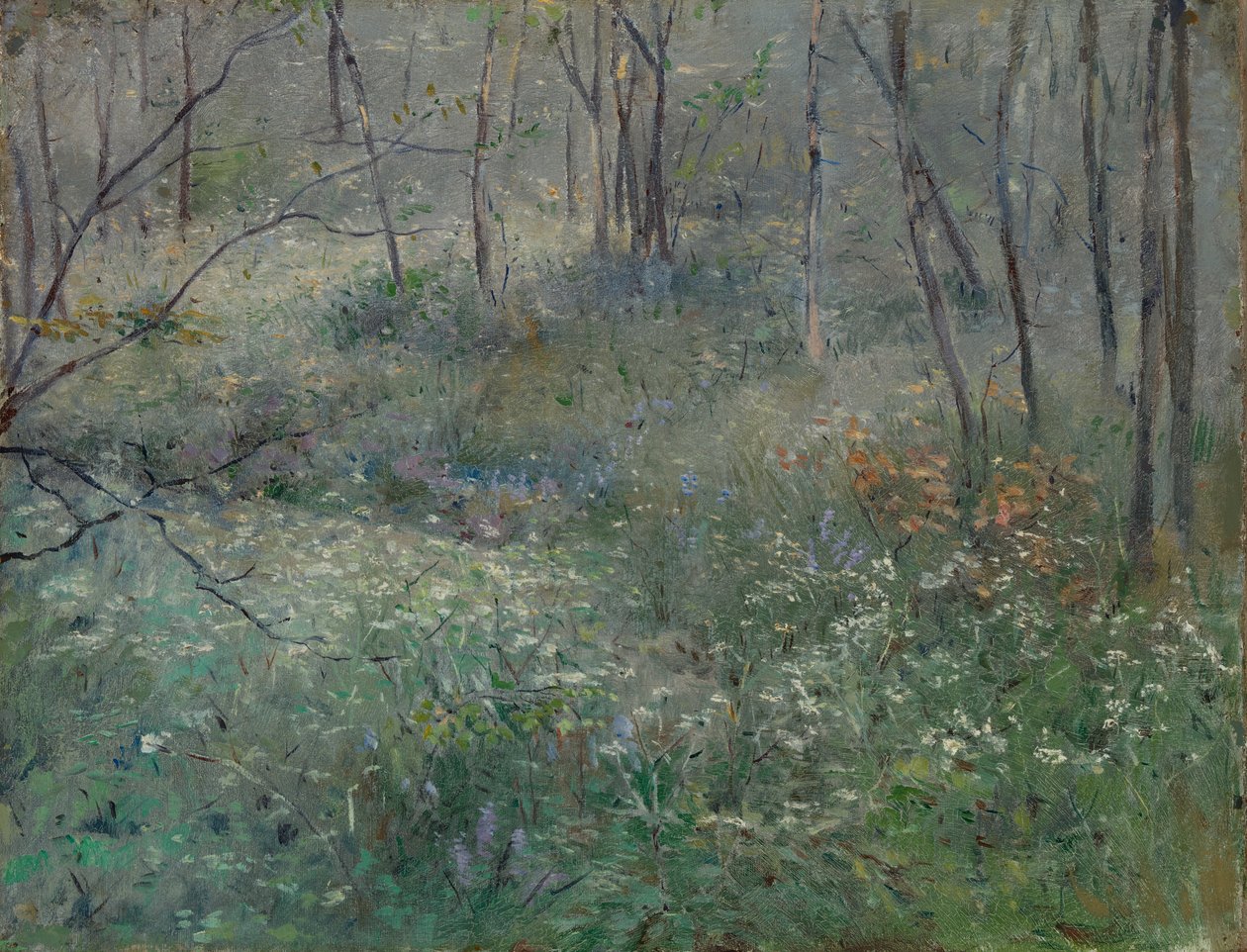 Wilde peterselie, 1900 door Sarah Paxton Ball Dodson