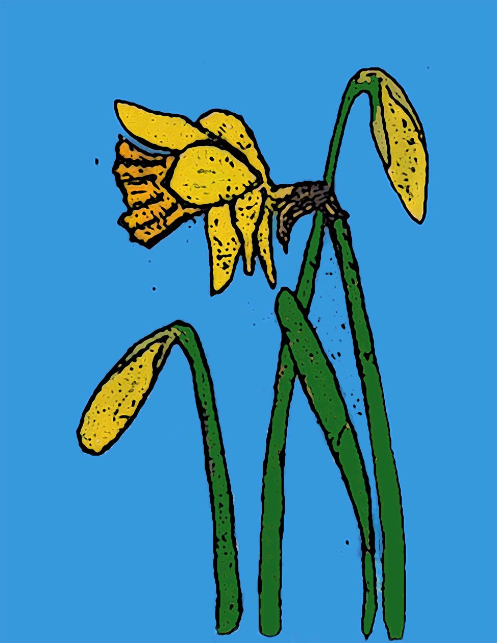 Narcissen door Sarah Thompson Engels
