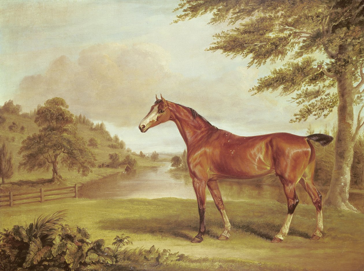 Bay Hunter in een Bosrijk Landschap met Rivier door Sawrey Gilpin