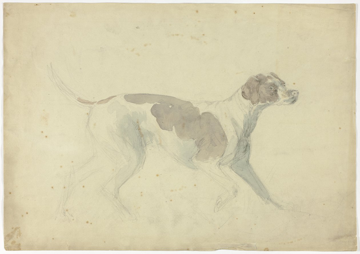 Vossenhond (recto); Schetsen van paard en ruiter (verso) door Sawrey Gilpin