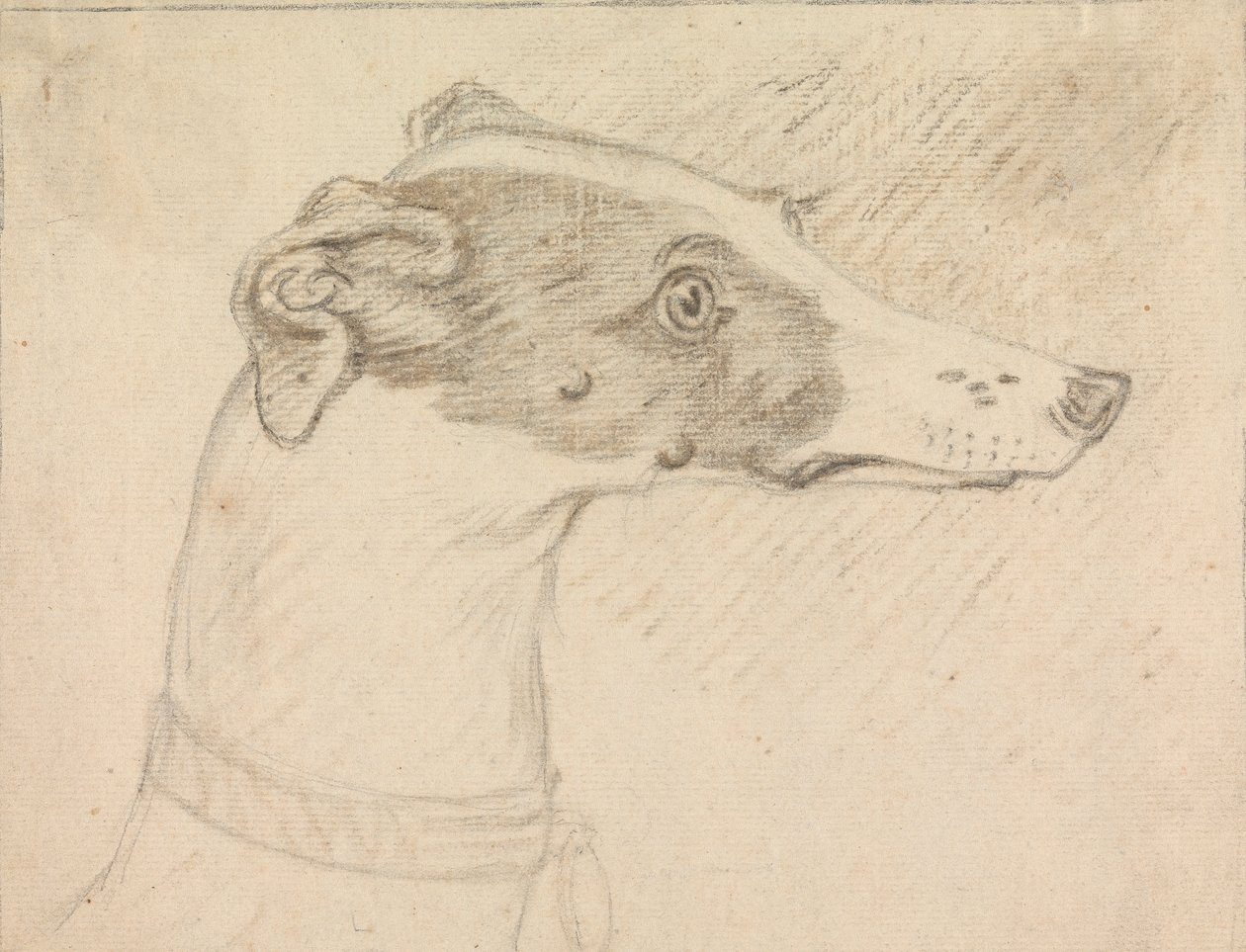 Hoofdportret van windhond door Sawrey Gilpin
