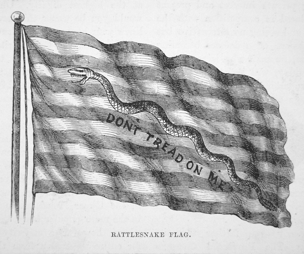 De Amerikaanse marinevlag, zoals gevlogen door John Paul Jones door School American