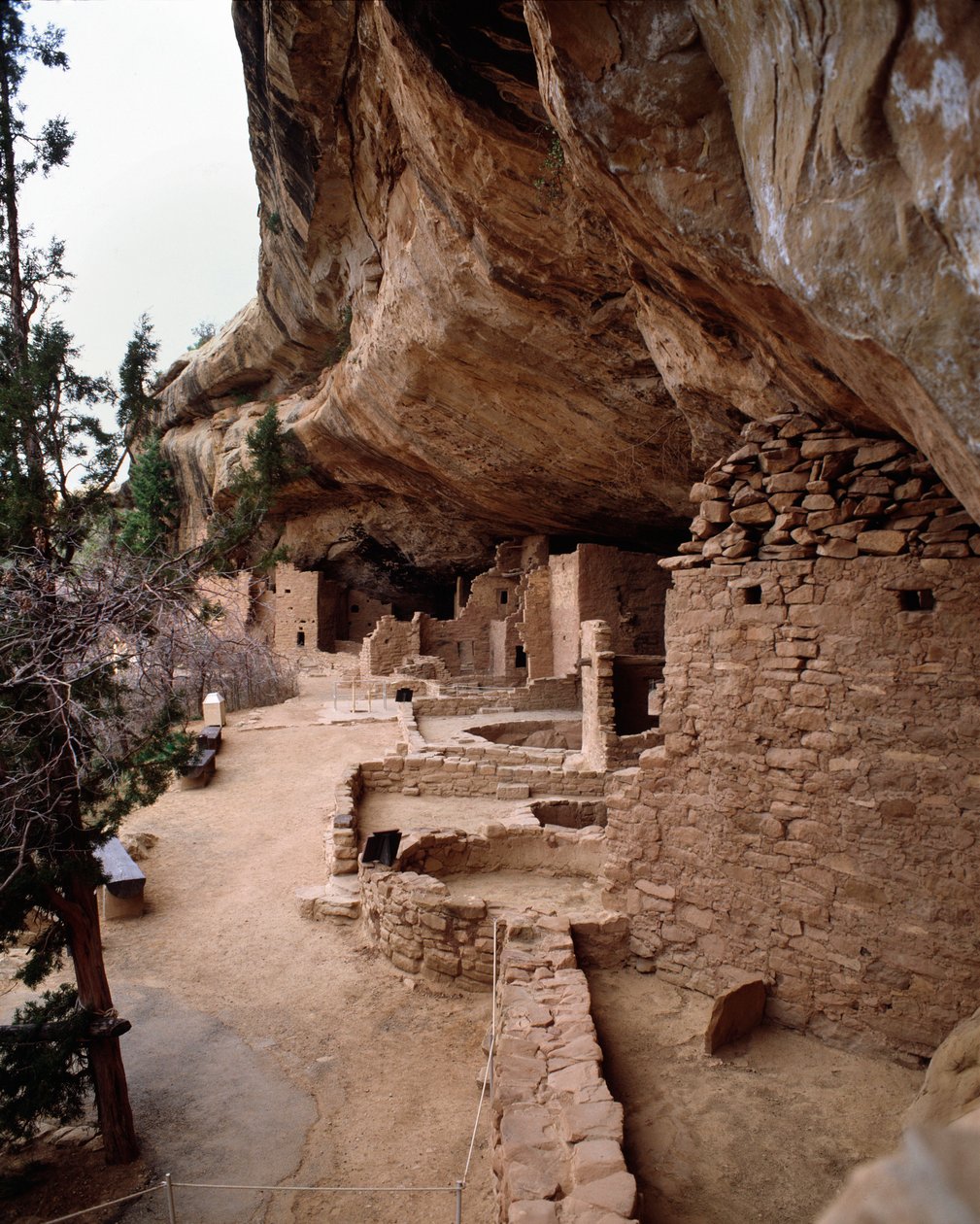 Uitzicht op de Spruce Tree House site (1993, Fotografie) door School Anasazi